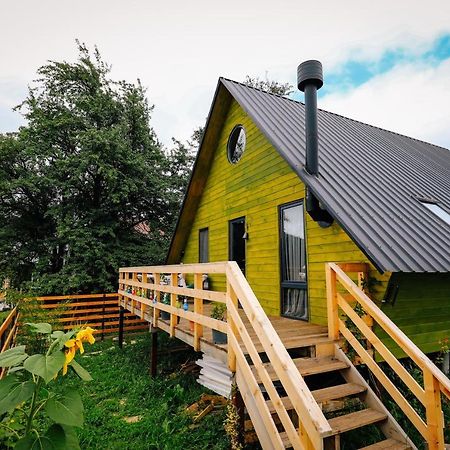 Wooden Cottage "Green House" In Бакуриани Экстерьер фото